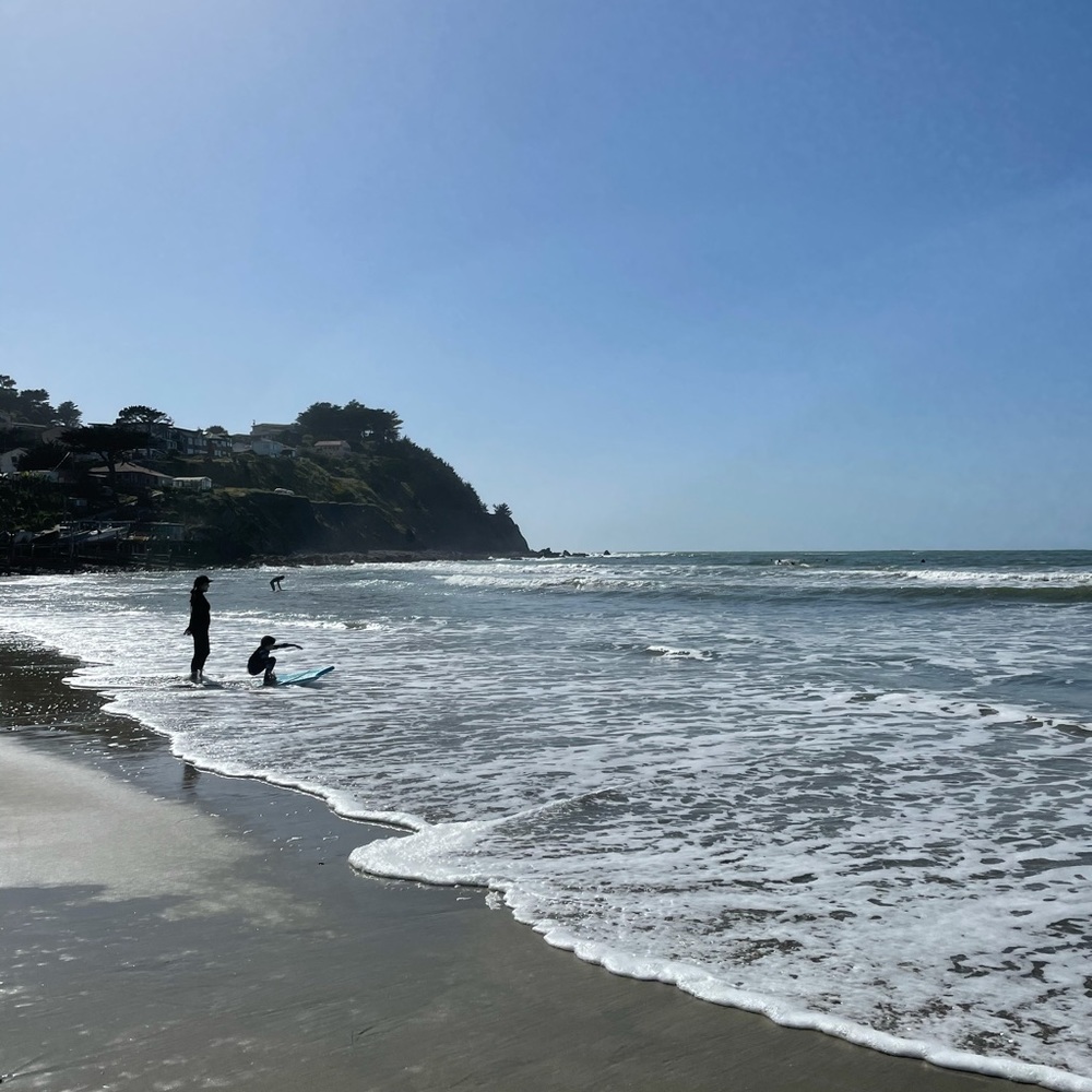 Meet your Posher, Joanne